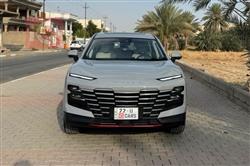 جيتور داشينج